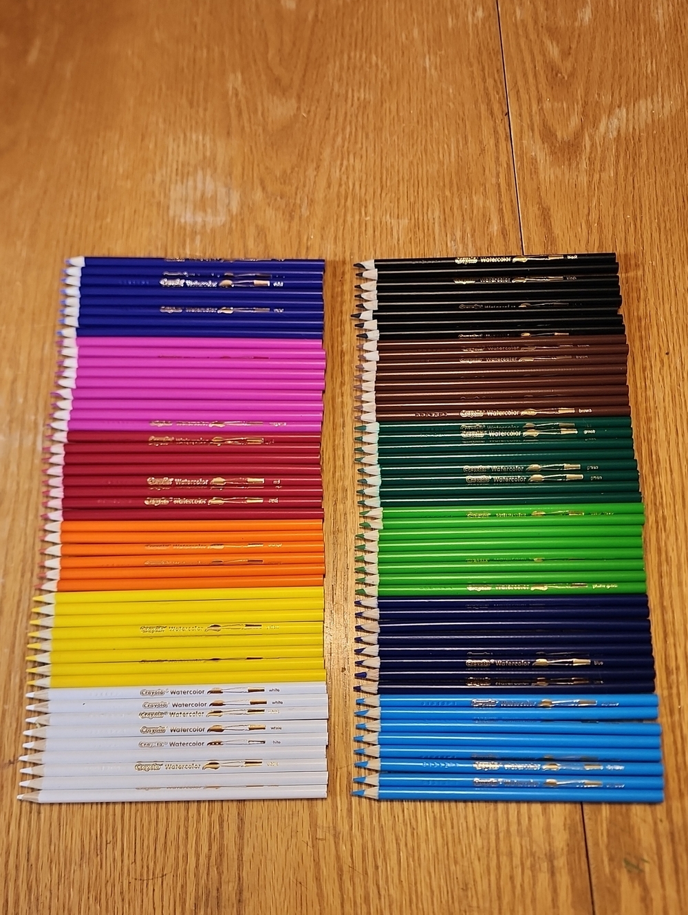 96 Crayola Watercolor Pencils